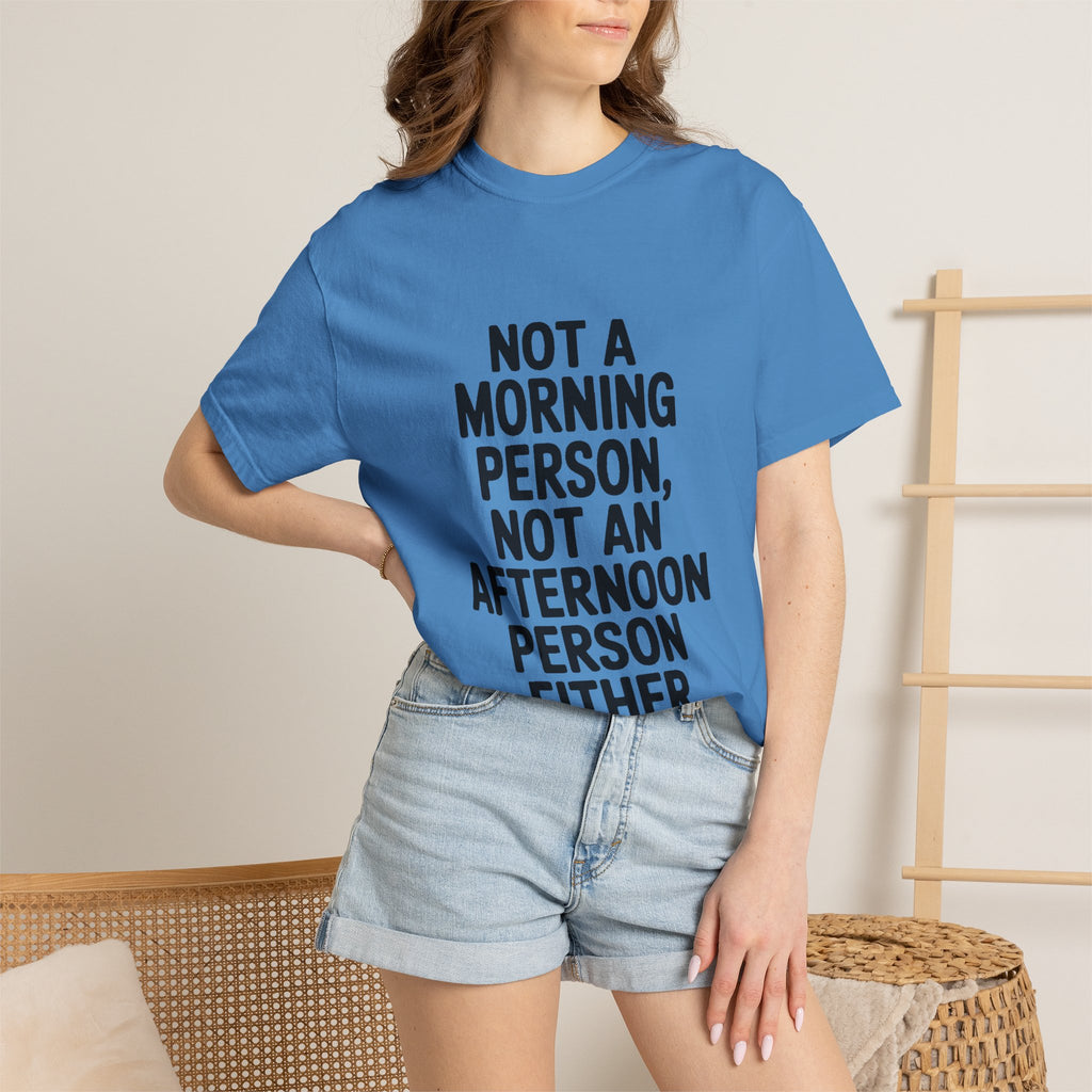 Not A Morning Person Shirt, Funny Sarcastic T-Shirt, Not An Afternoon Person Either Tee, Anti Social Gift