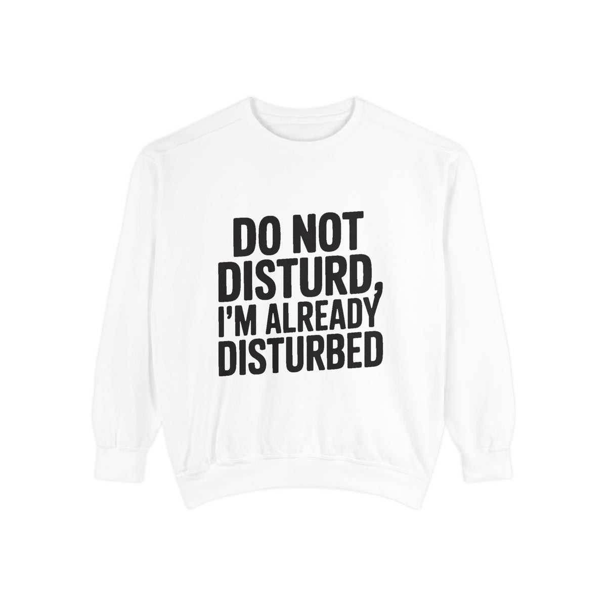 Do Not Disturb Already Disturbed Sweatshirt, Funny Sarcastic Crewneck, Embroidered Patch Style Pullover, Introvert Gift