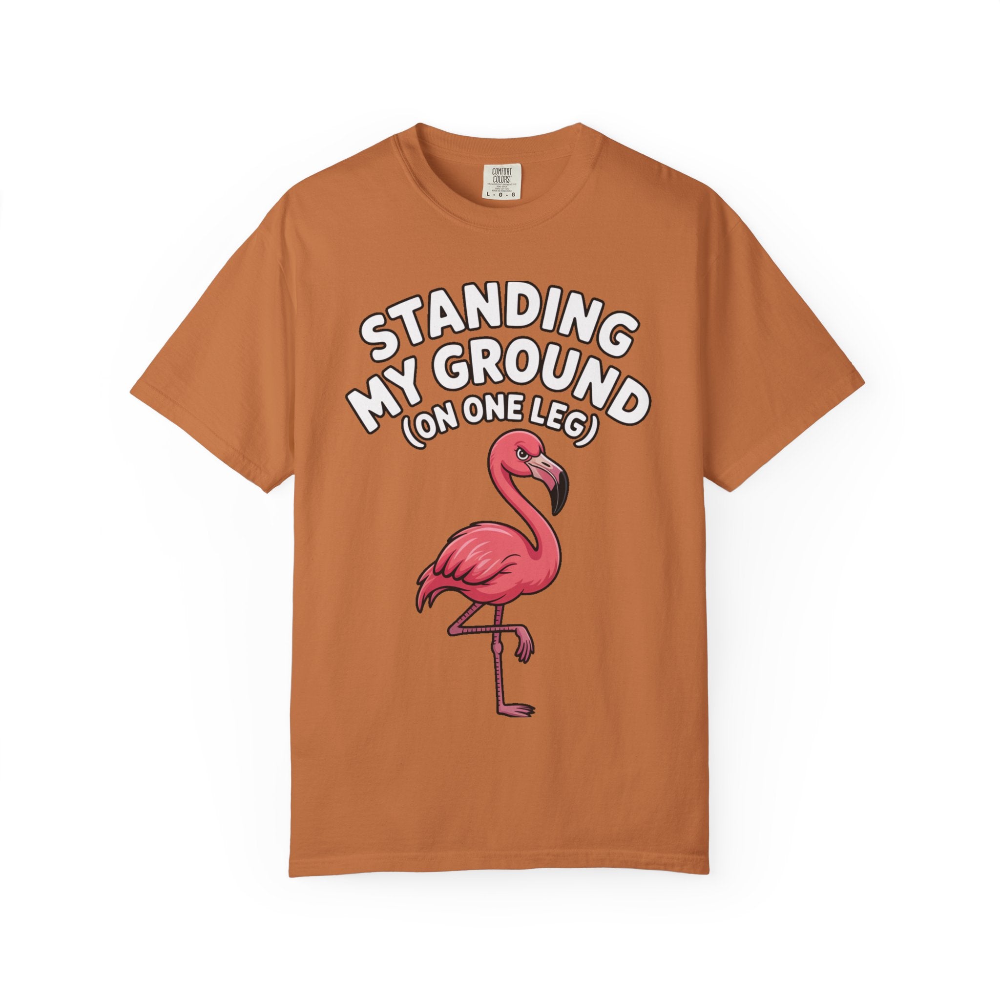 Standing My Ground Flamingo Shirt, Funny One Leg Flamingo T-Shirt, Sassy Bird Lover Gift, Cute Cartoon Flamingo Tee