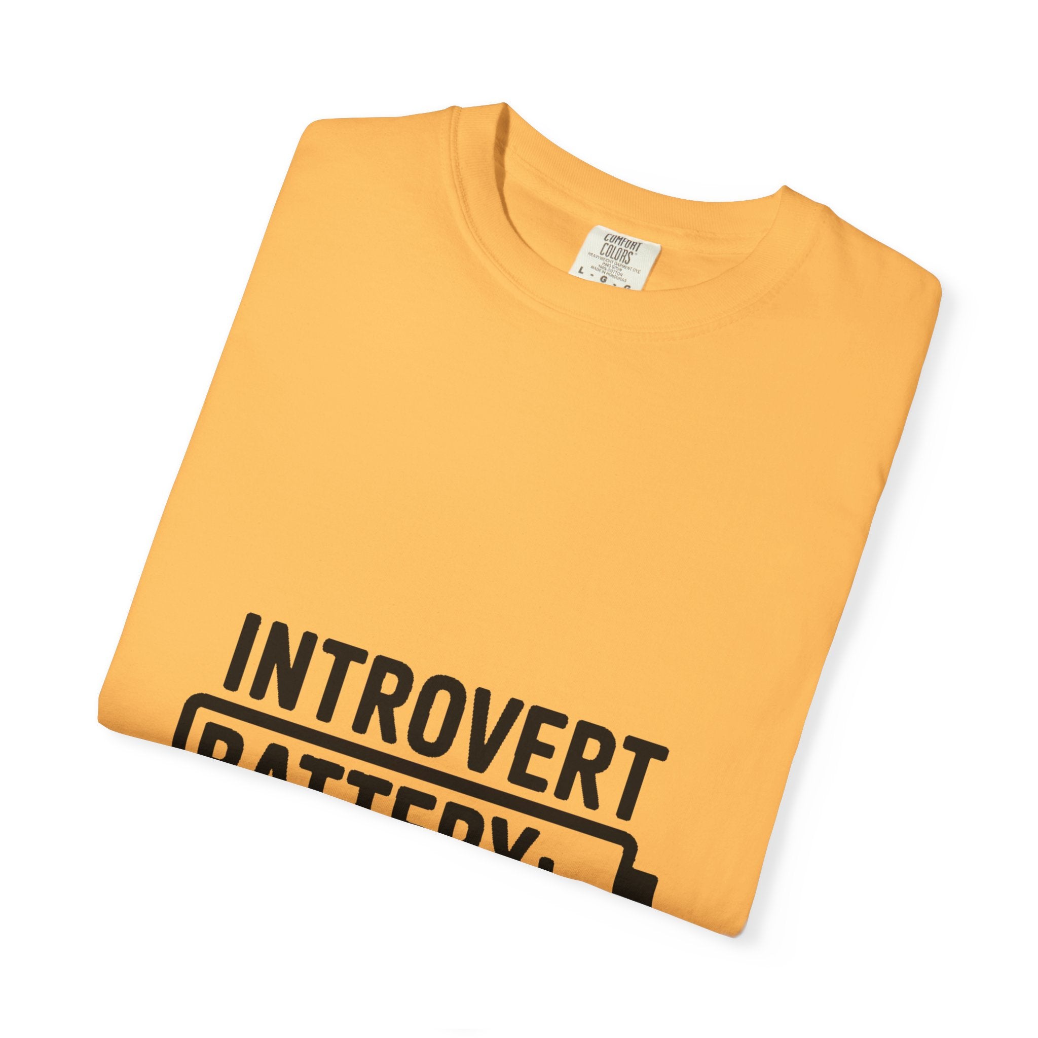 Introvert Battery Low Shirt, Funny Introvert Battery 12% Tee, Social Anxiety Humor T-Shirt, Sarcastic Gift for Introverts