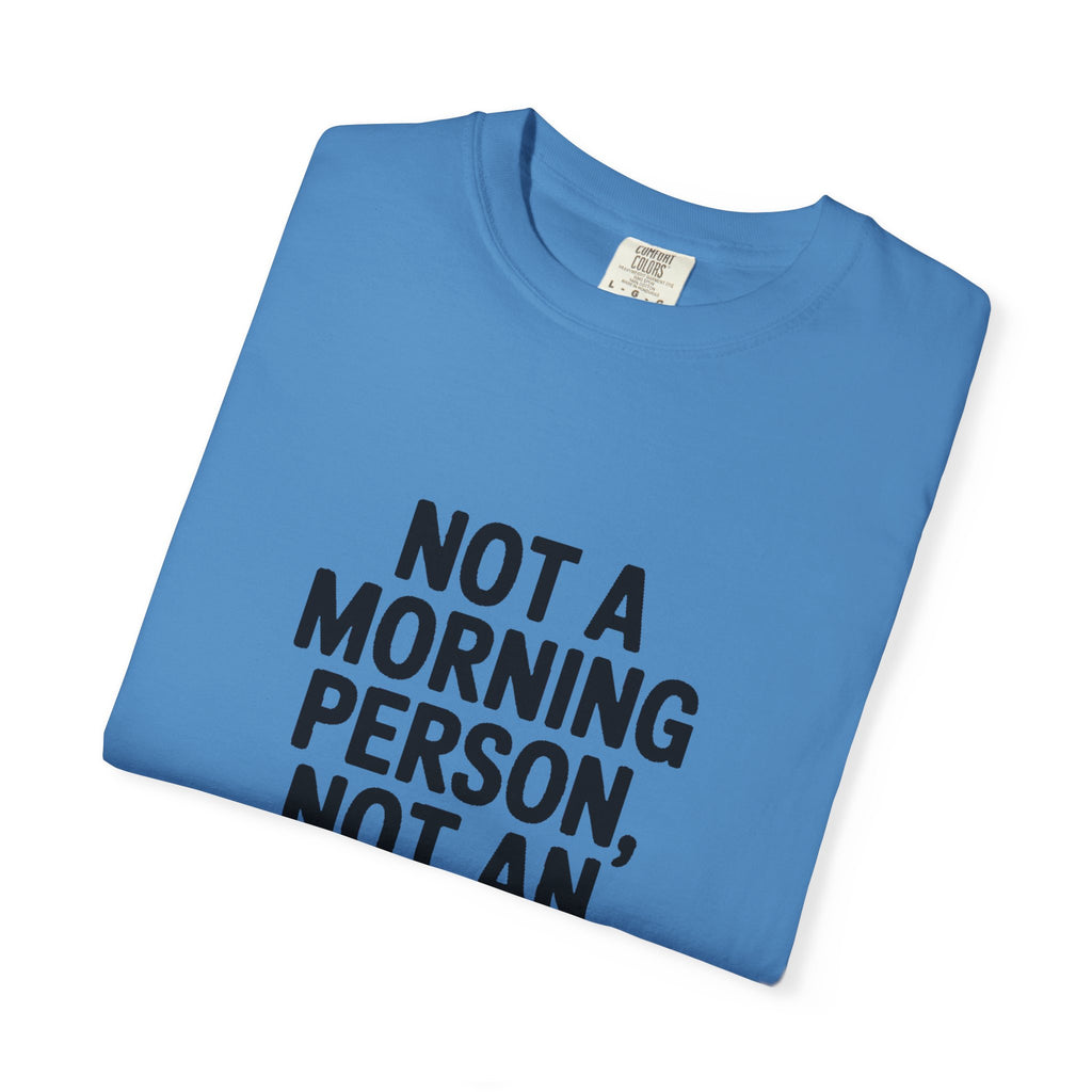 Not A Morning Person Shirt, Funny Sarcastic T-Shirt, Not An Afternoon Person Either Tee, Anti Social Gift