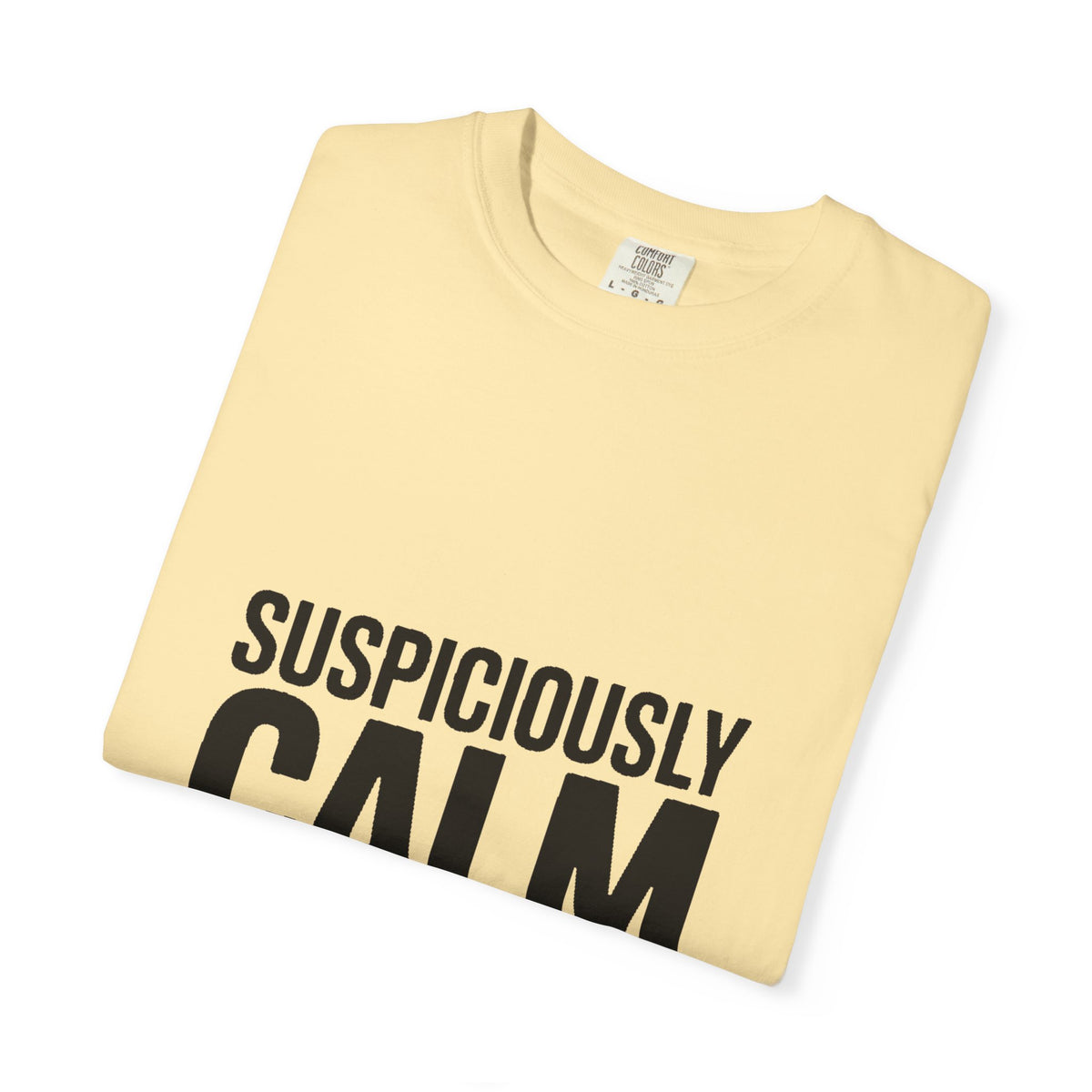 Suspiciously Calm Right Now Shirt, Funny Sarcastic T-Shirt, Bold Typography Tee, Anxiety Humor Shirt, Sarcastic Gift for Him Her