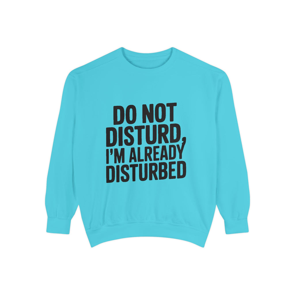 Do Not Disturb Already Disturbed Sweatshirt, Funny Sarcastic Crewneck, Embroidered Patch Style Pullover, Introvert Gift
