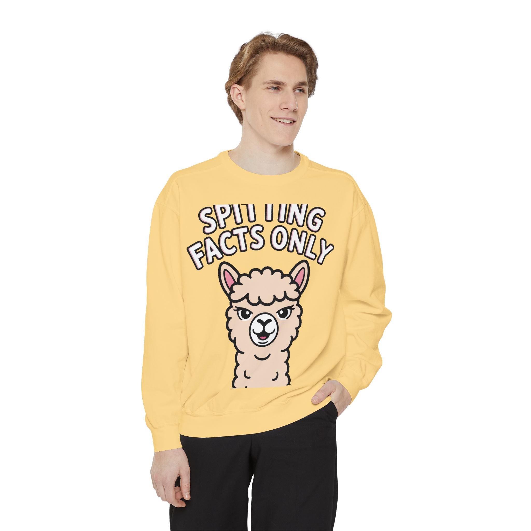 Alpaca Spitting Facts Sweatshirt, Funny Sassy Alpaca Crewneck, Cute Embroidered-Style Animal Sweatshirt, Alpaca Lover Gift
