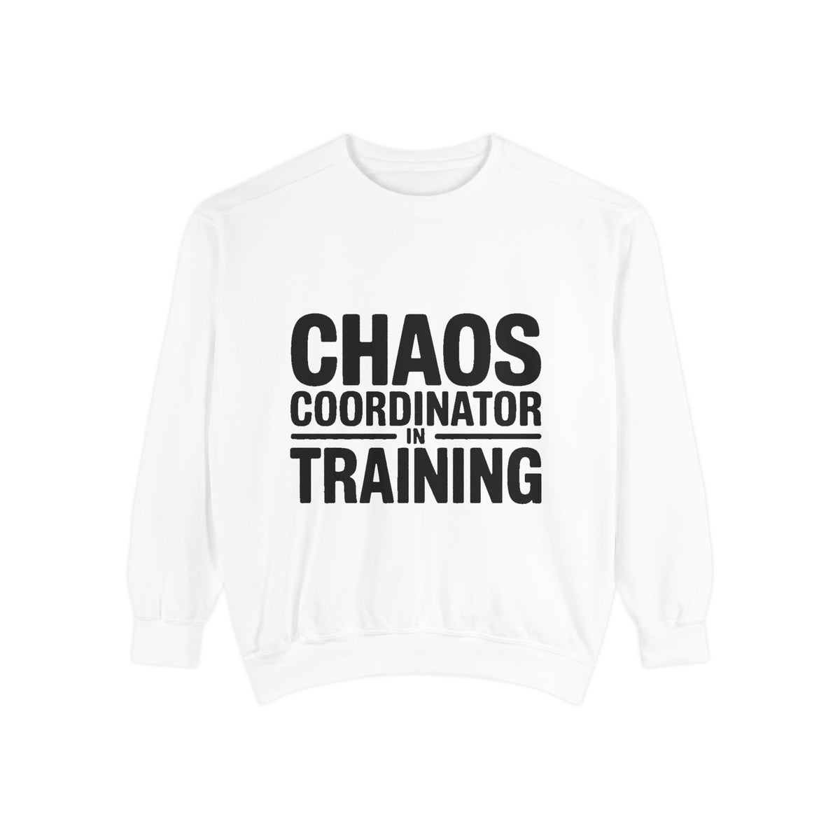 Chaos Coordinator In Training Sweatshirt, Funny Mom Crewneck, Embroidered Style Bold Text Sweatshirt, Teacher Nurse Gift
