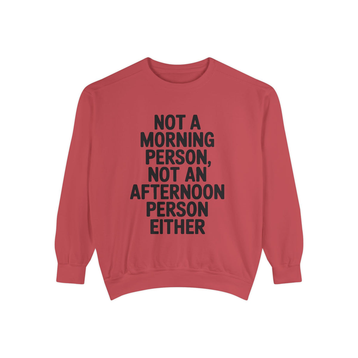 Not A Morning Person Sweatshirt, Funny Sarcastic Crewneck, Anti Morning Afternoon Person Shirt, Introvert Humor Gift