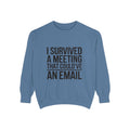 I Survived A Meeting That Could've Been An Email Sweatshirt, Funny Office Crewneck, Sarcastic Coworker Gift, Corporate Humor Sweater