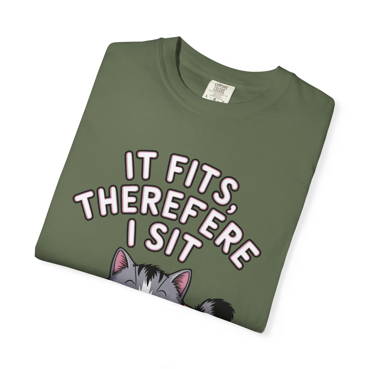 It Fits Therefore I Sit Cat Shirt, Funny Cat In Box T-Shirt, Cute Chubby Cat Lover Gift, Cat Owner Shirt, Funny Cat Meme Tee