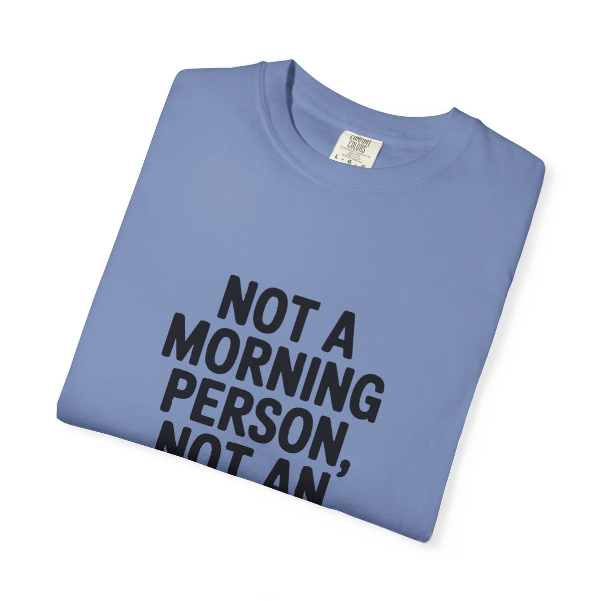 Not A Morning Person Shirt, Funny Sarcastic T-Shirt, Not An Afternoon Person Either Tee, Anti Social Gift