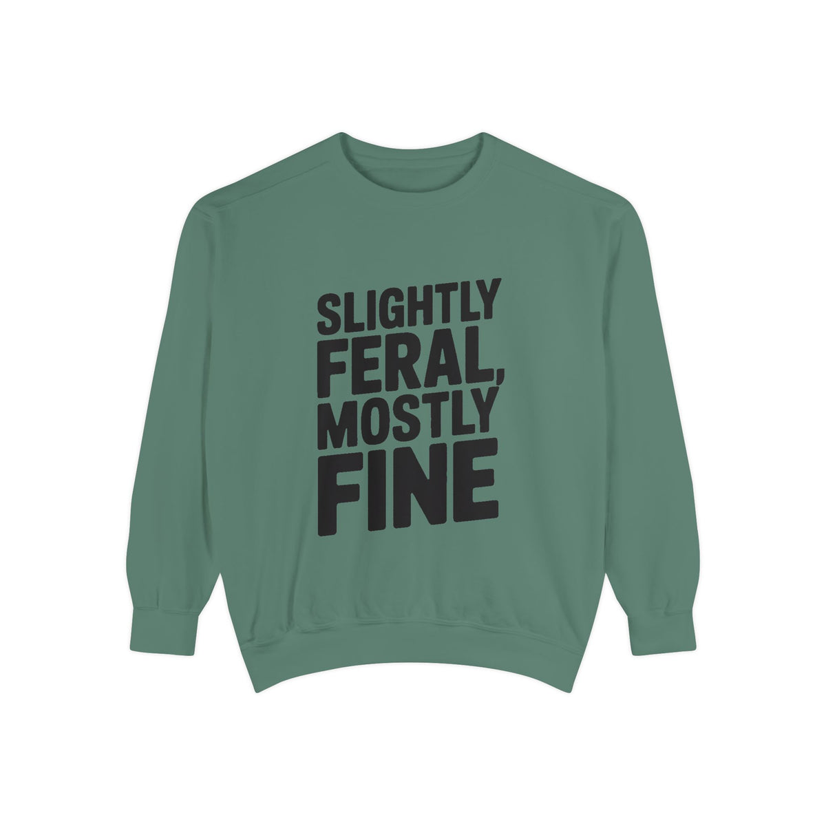 Slightly Feral Mostly Fine Sweatshirt, Funny Embroidered Crewneck, Sarcastic Quote Sweatshirt, Minimalist Text Gift for Her
