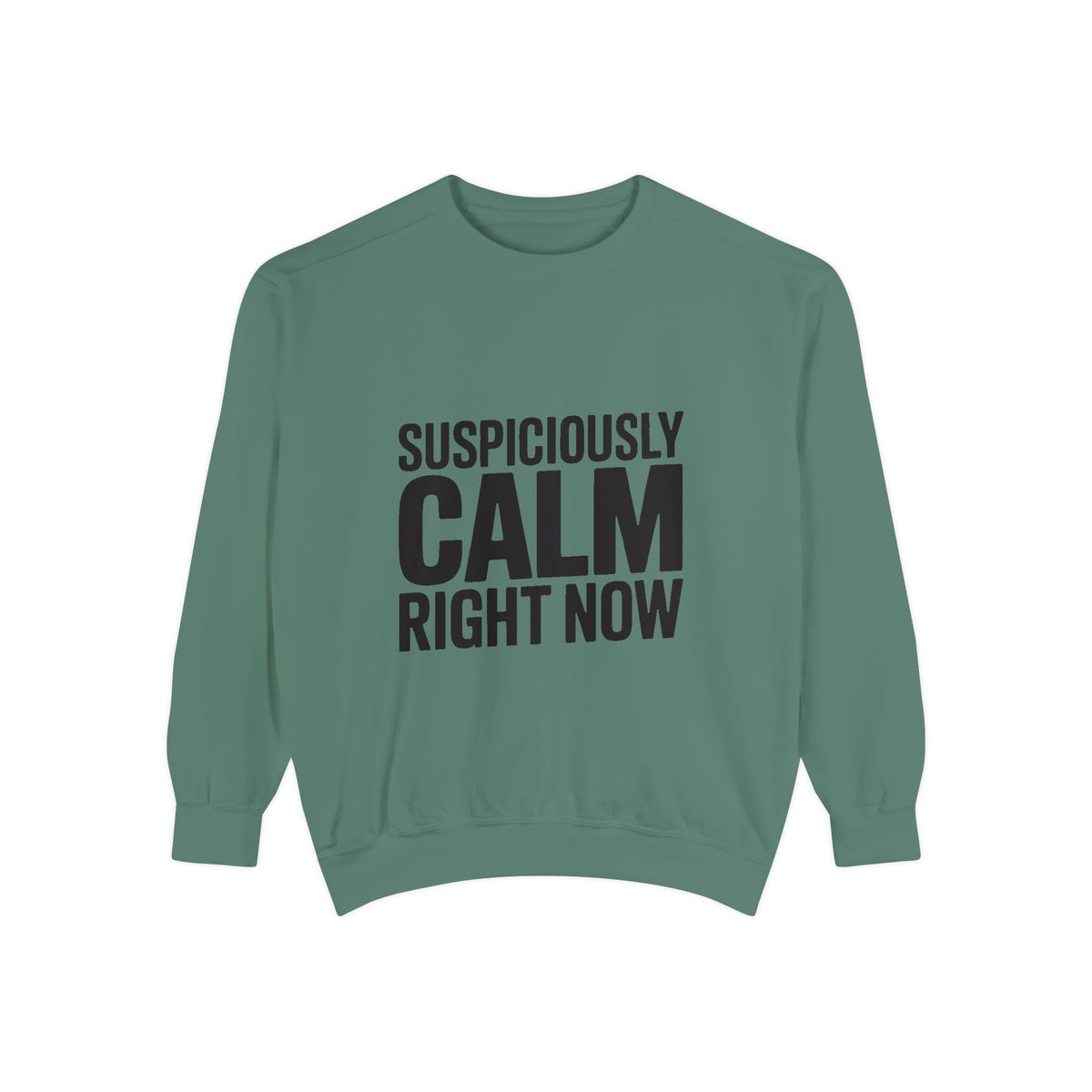 Suspiciously Calm Right Now Sweatshirt, Funny Sarcastic Crewneck, Bold Text Embroidered Patch Style Pullover, Sarcasm Gift