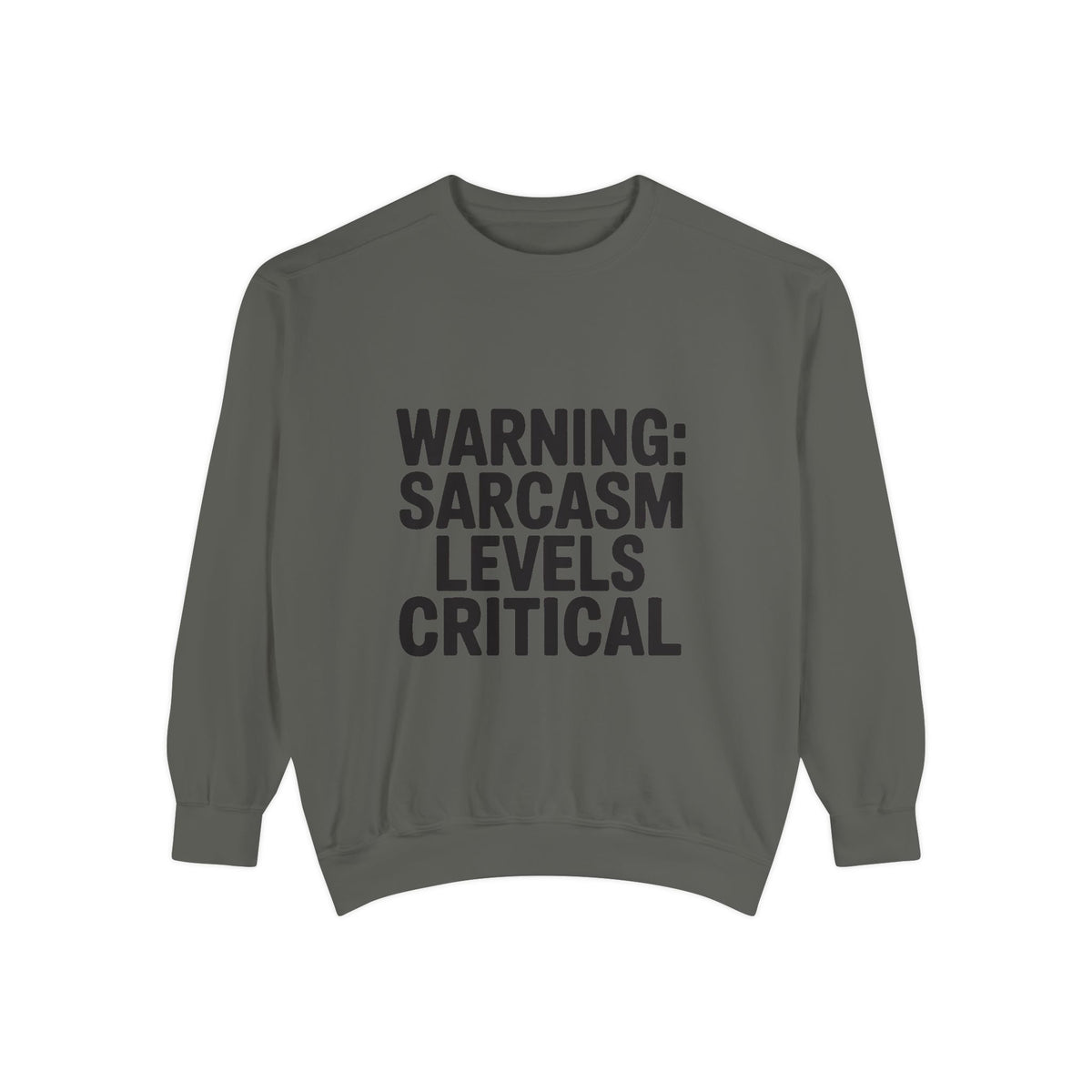 Warning Sarcasm Levels Critical Sweatshirt, Funny Embroidered Crewneck, Sarcastic Quote Pullover, Gift for Sarcastic Friend