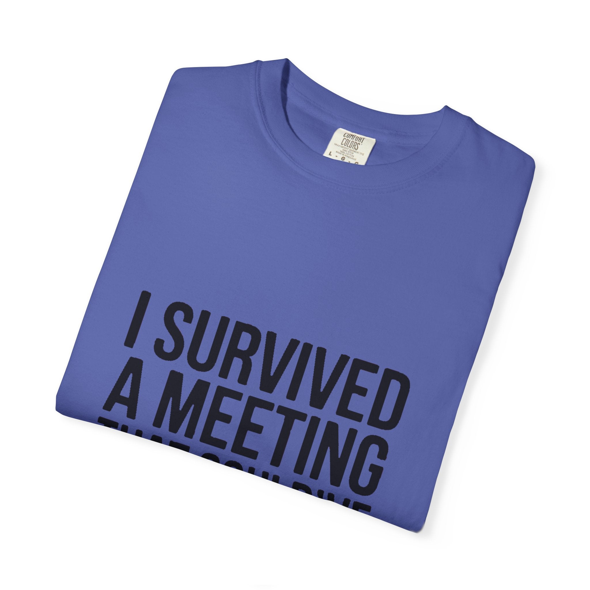 I Survived A Meeting That Could've Been An Email Shirt, Funny Office T-Shirt, Sarcastic Coworker Gift, Corporate Humor Tee