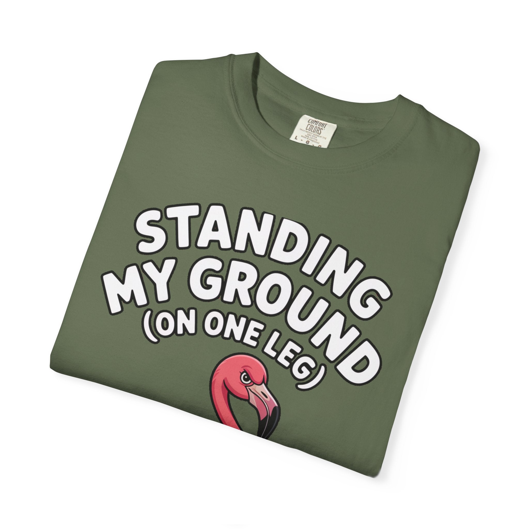 Standing My Ground Flamingo Shirt, Funny One Leg Flamingo T-Shirt, Sassy Bird Lover Gift, Cute Cartoon Flamingo Tee