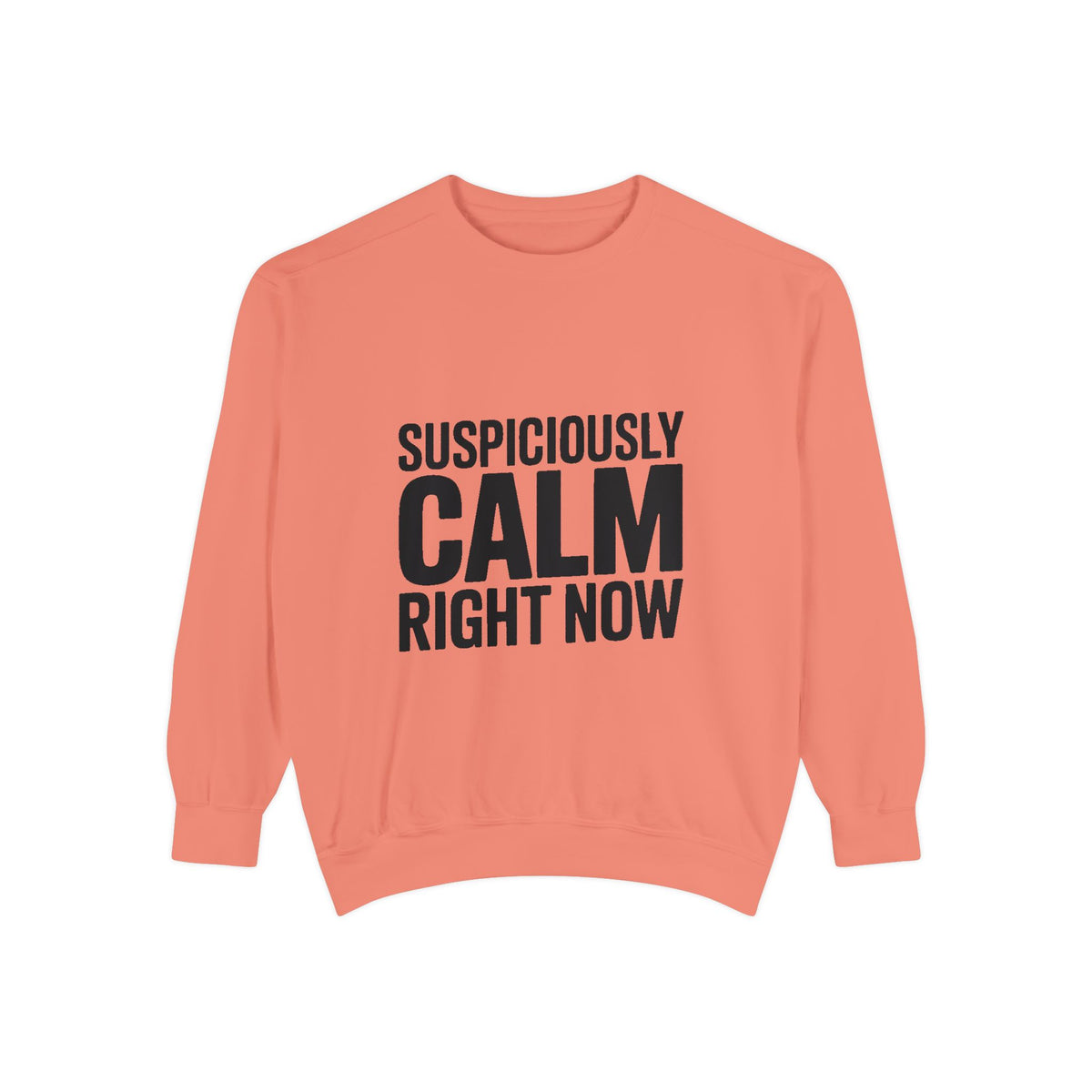Suspiciously Calm Right Now Sweatshirt, Funny Sarcastic Crewneck, Bold Text Embroidered Patch Style Pullover, Sarcasm Gift