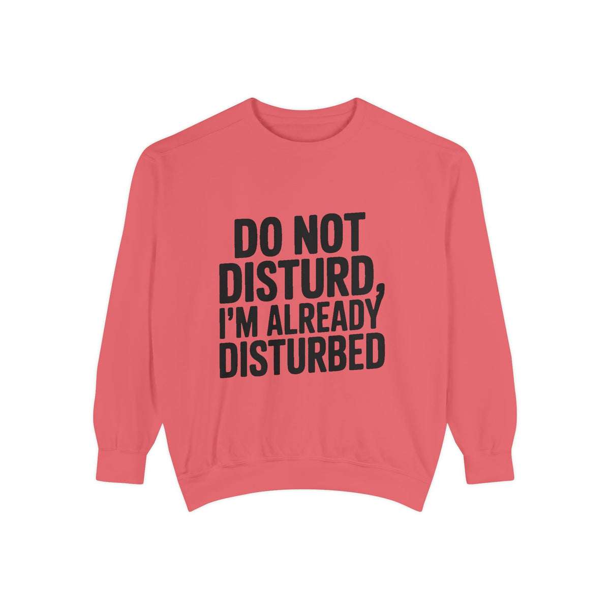 Do Not Disturb Already Disturbed Sweatshirt, Funny Sarcastic Crewneck, Embroidered Patch Style Pullover, Introvert Gift