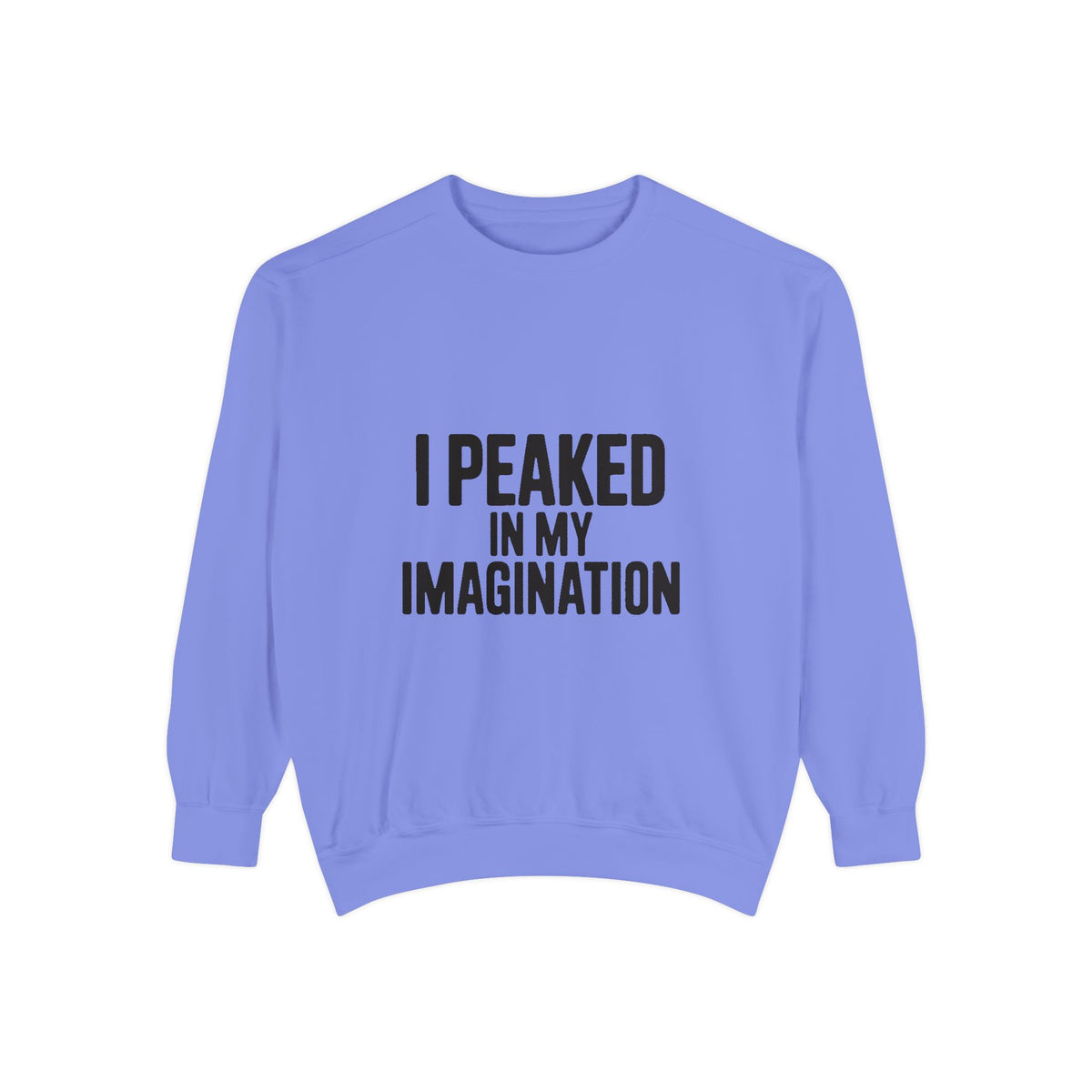I Peaked In My Imagination Sweatshirt, Funny Sarcastic Crewneck, Bold Typography Embroidered Sweatshirt, Daydreamer Gift
