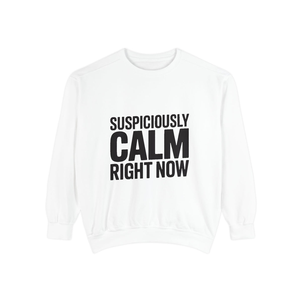 Suspiciously Calm Right Now Sweatshirt, Funny Sarcastic Crewneck, Bold Text Embroidered Patch Style Pullover, Sarcasm Gift