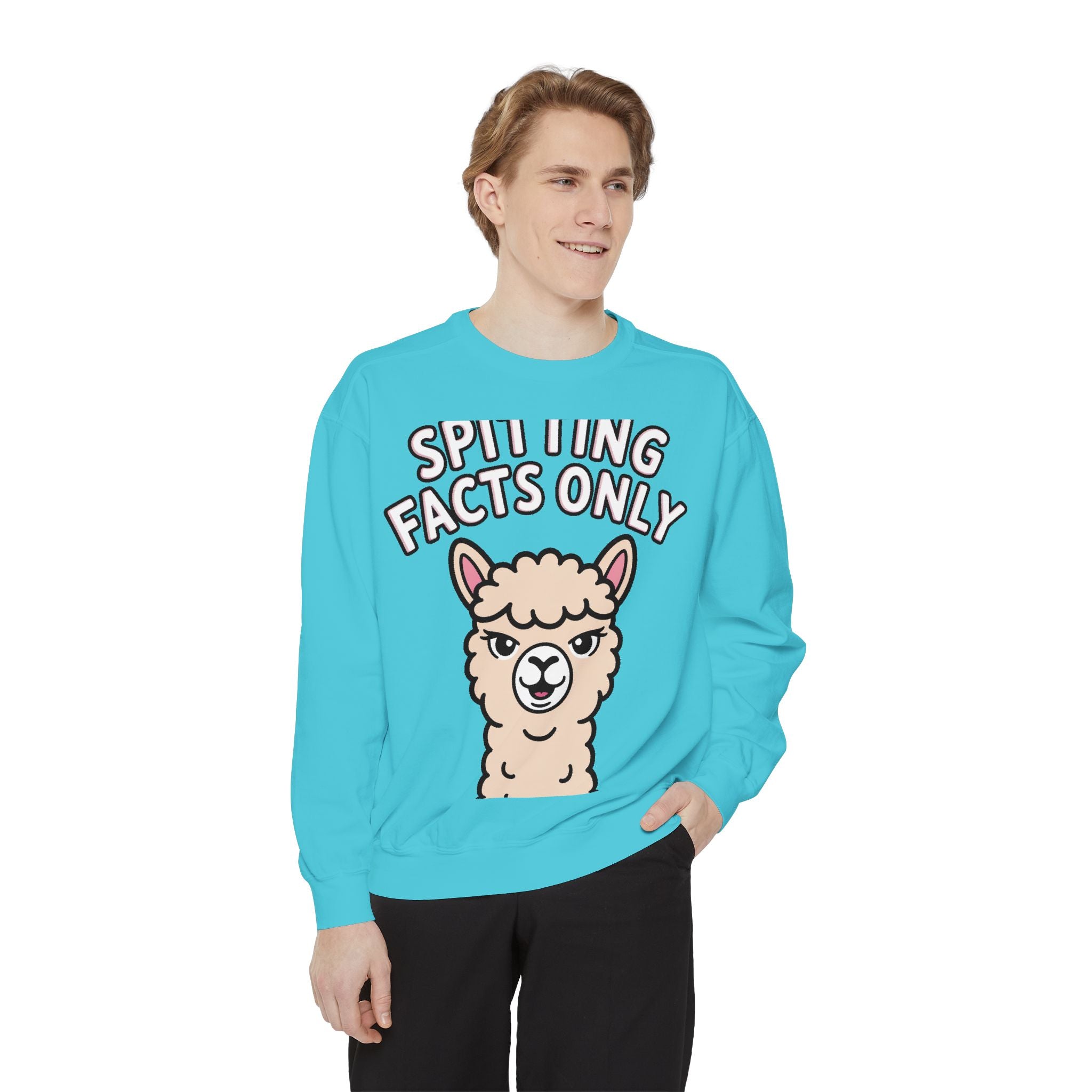 Alpaca Spitting Facts Sweatshirt, Funny Sassy Alpaca Crewneck, Cute Embroidered-Style Animal Sweatshirt, Alpaca Lover Gift