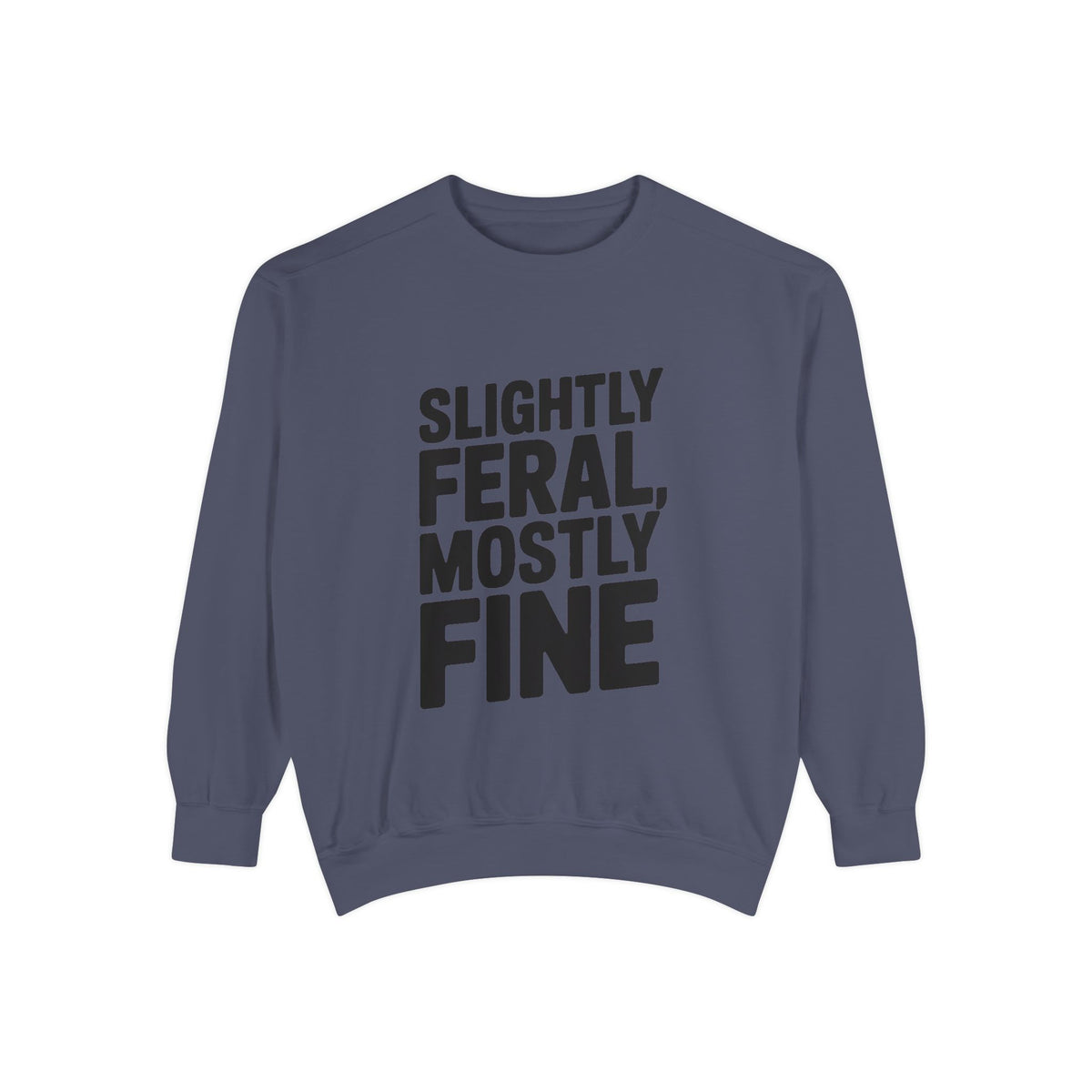 Slightly Feral Mostly Fine Sweatshirt, Funny Embroidered Crewneck, Sarcastic Quote Sweatshirt, Minimalist Text Gift for Her