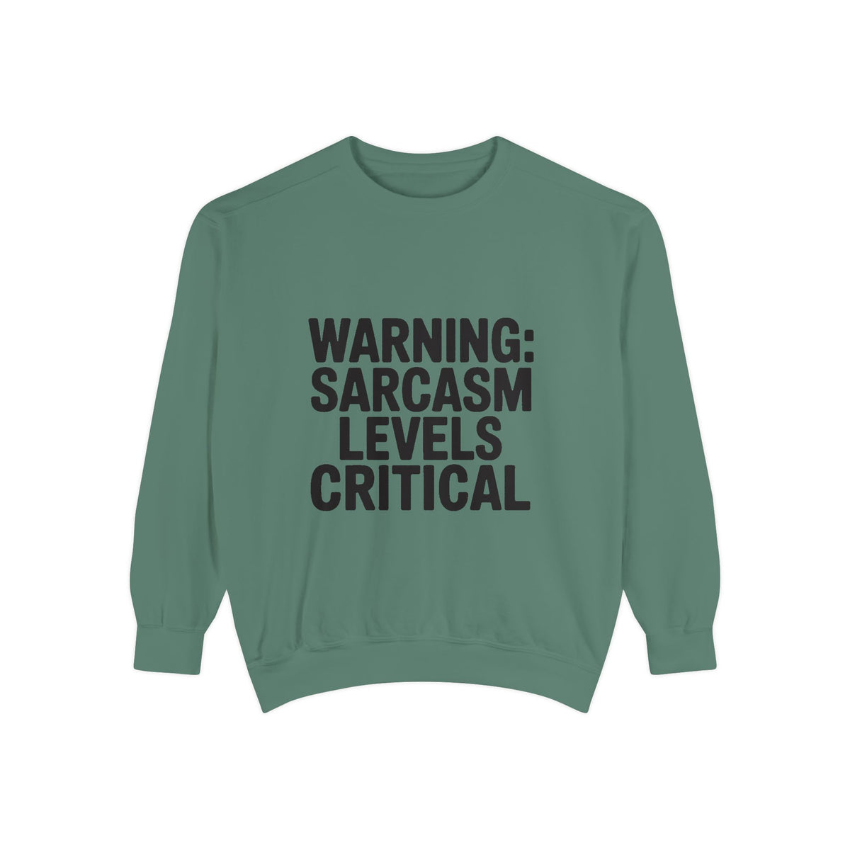 Warning Sarcasm Levels Critical Sweatshirt, Funny Embroidered Crewneck, Sarcastic Quote Pullover, Gift for Sarcastic Friend