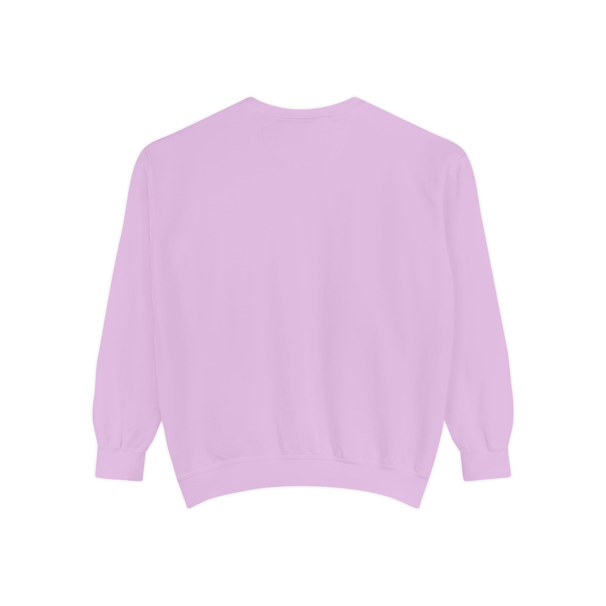 Zero Stress Capybara Sweatshirt, Funny Hot Spring Capybara Crewneck, Cute Chill Animal Gift, Garment Dyed Embroidered Sweatshirt