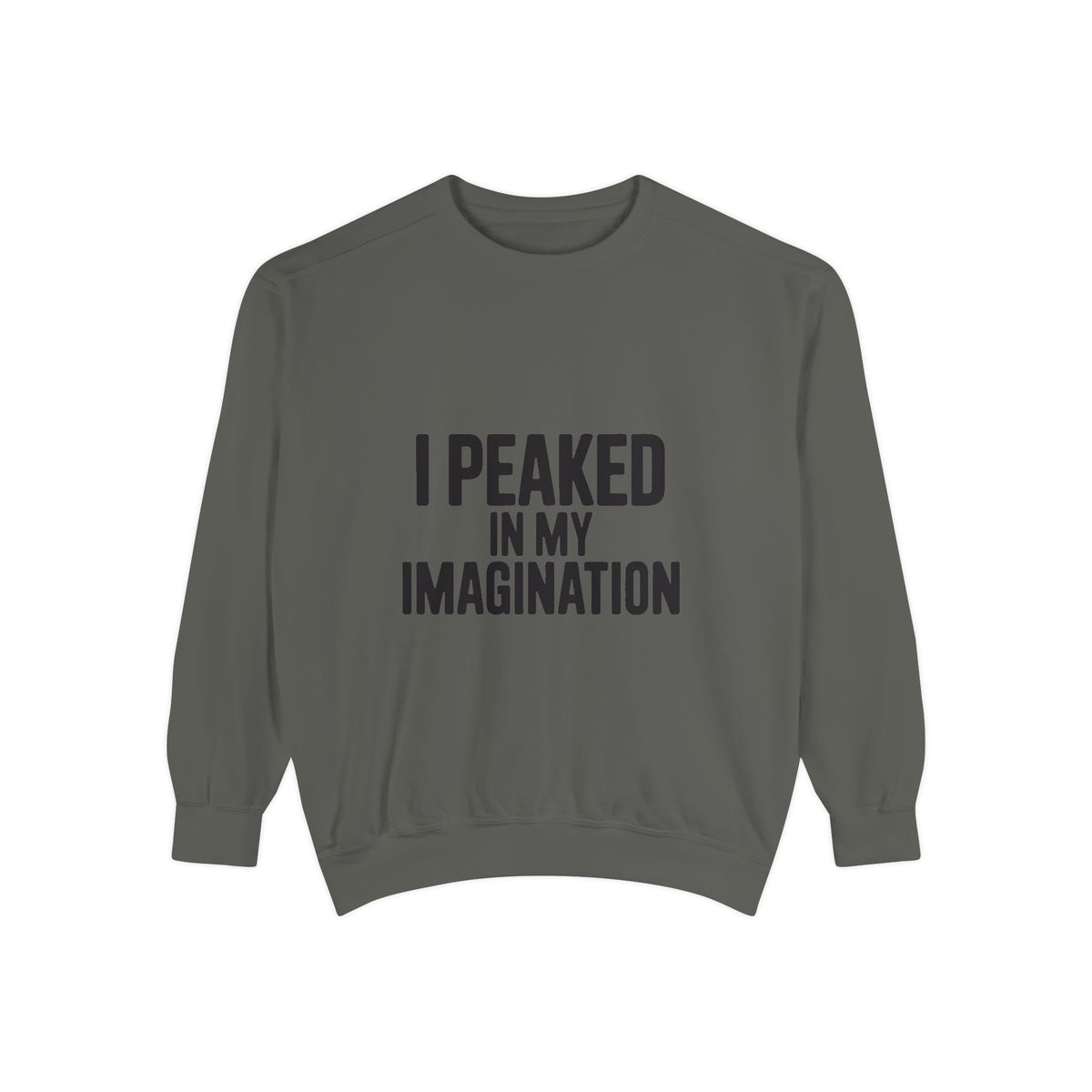 I Peaked In My Imagination Sweatshirt, Funny Sarcastic Crewneck, Bold Typography Embroidered Sweatshirt, Daydreamer Gift