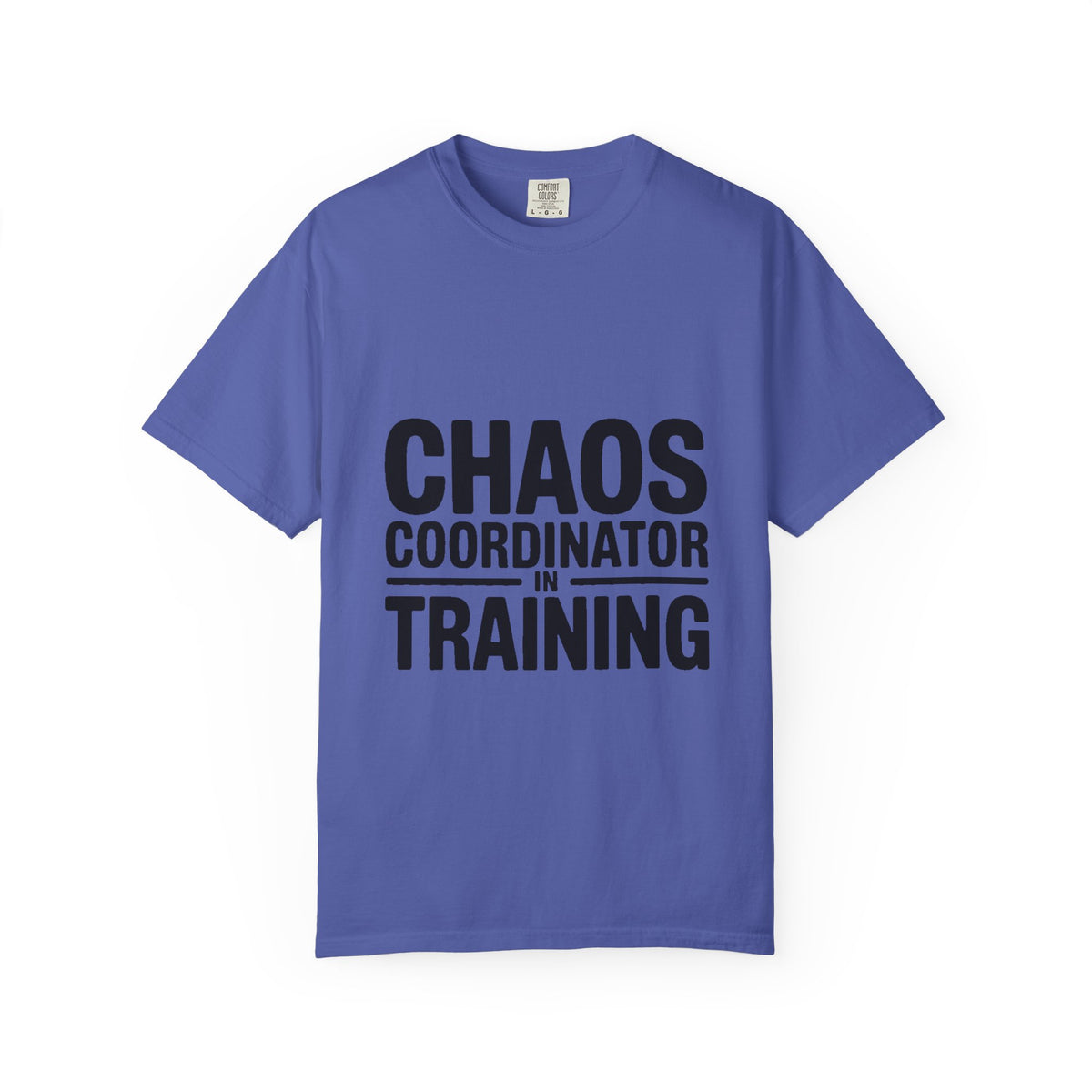 Chaos Coordinator In Training Shirt, Funny Bold Typography Tee, Sarcastic Mom Life T-Shirt, Gift for New Parents or Teachers