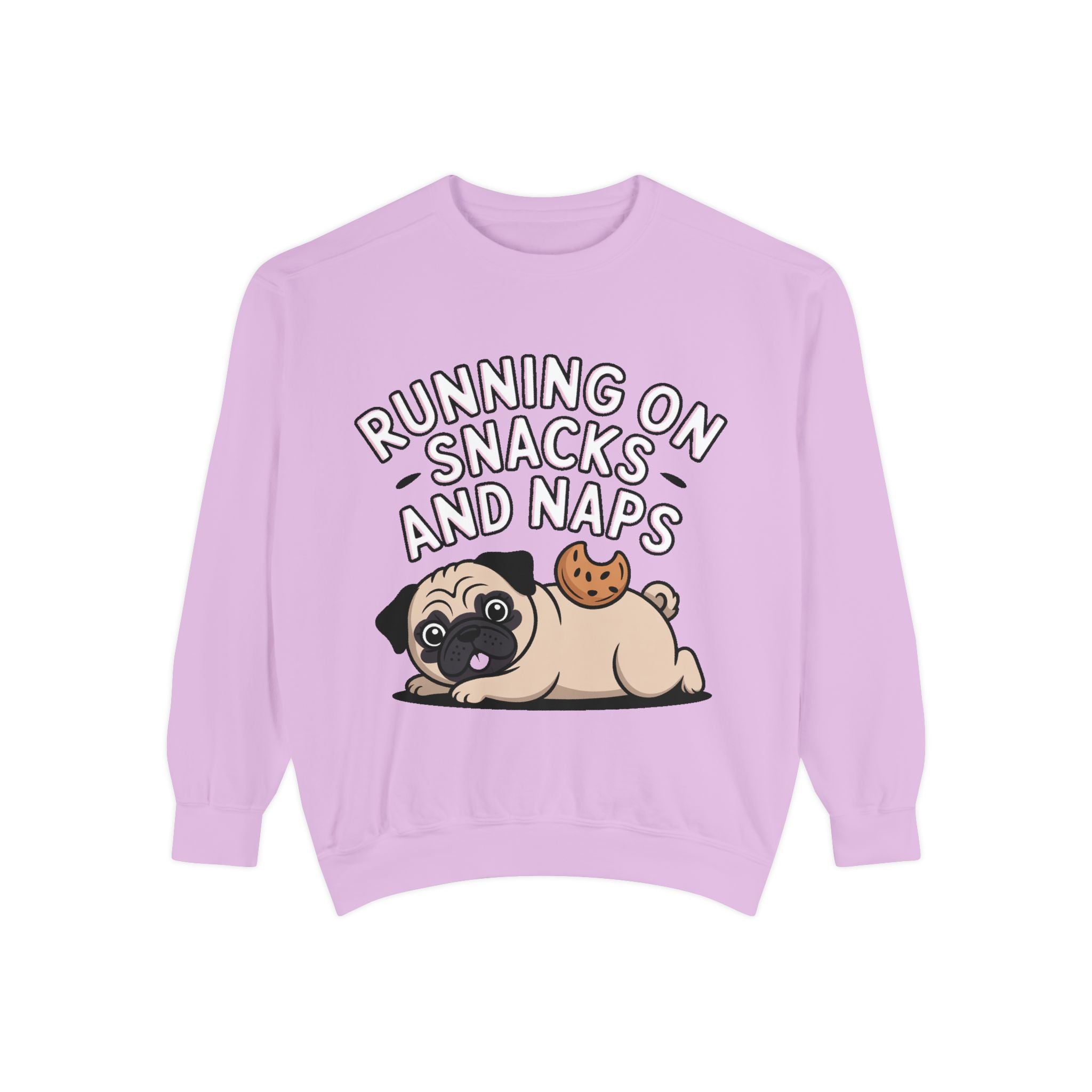 Pug Sweatshirt, Funny Running On Snacks And Naps Crewneck, Cute Pug Lover Gift, Embroidered Patch Style Dog Sweater