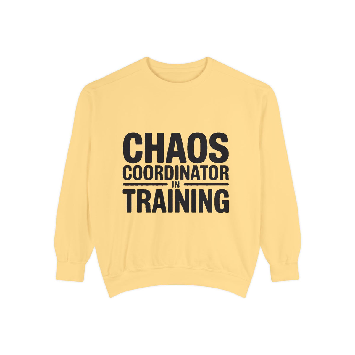 Chaos Coordinator In Training Sweatshirt, Funny Mom Crewneck, Embroidered Style Bold Text Sweatshirt, Teacher Nurse Gift
