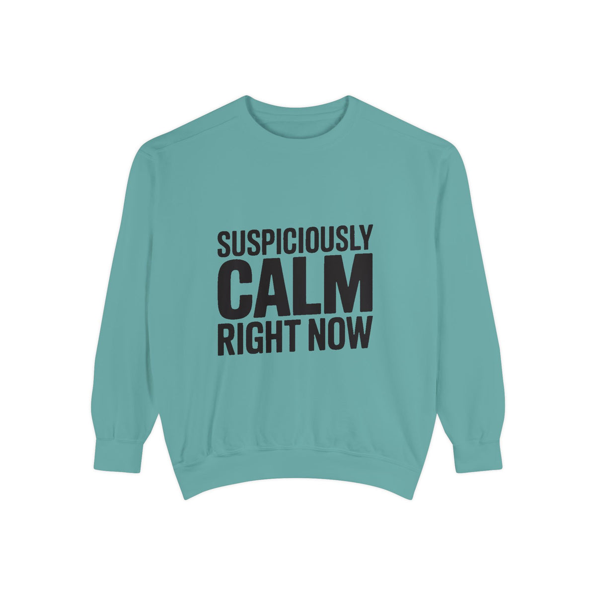 Suspiciously Calm Right Now Sweatshirt, Funny Sarcastic Crewneck, Bold Text Embroidered Patch Style Pullover, Sarcasm Gift