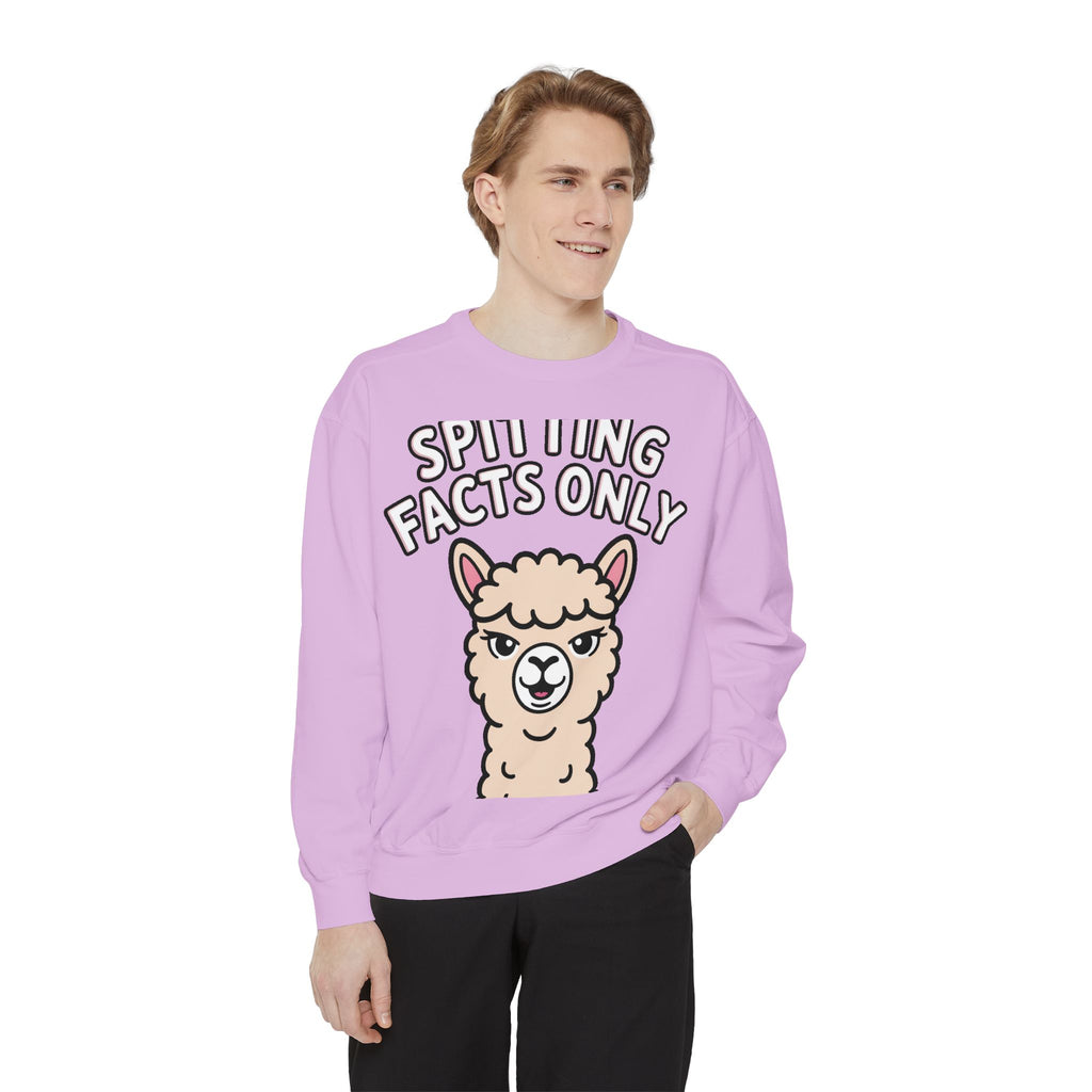 Alpaca Spitting Facts Sweatshirt, Funny Sassy Alpaca Crewneck, Cute Embroidered-Style Animal Sweatshirt, Alpaca Lover Gift