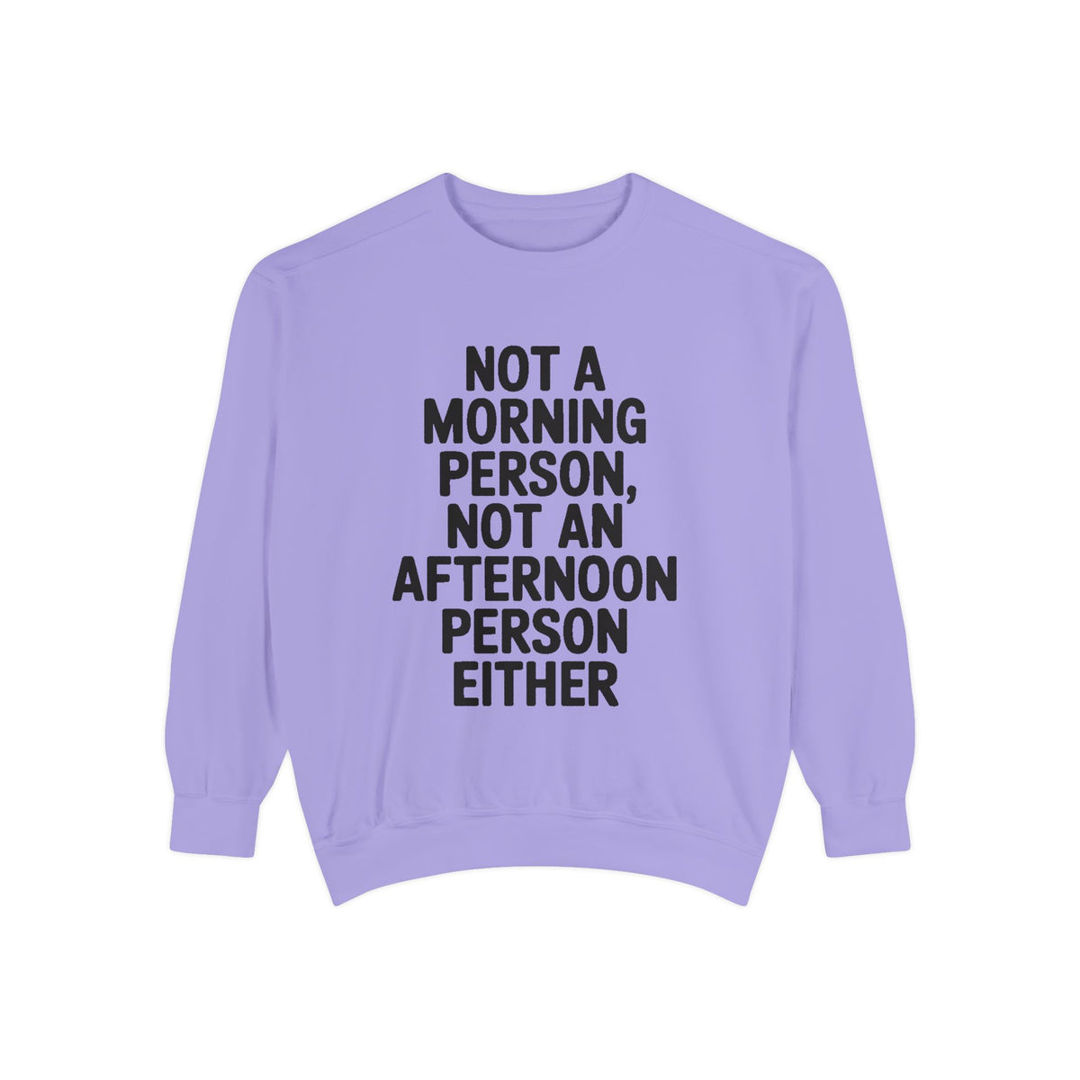 Not A Morning Person Sweatshirt, Funny Sarcastic Crewneck, Anti Morning Afternoon Person Shirt, Introvert Humor Gift