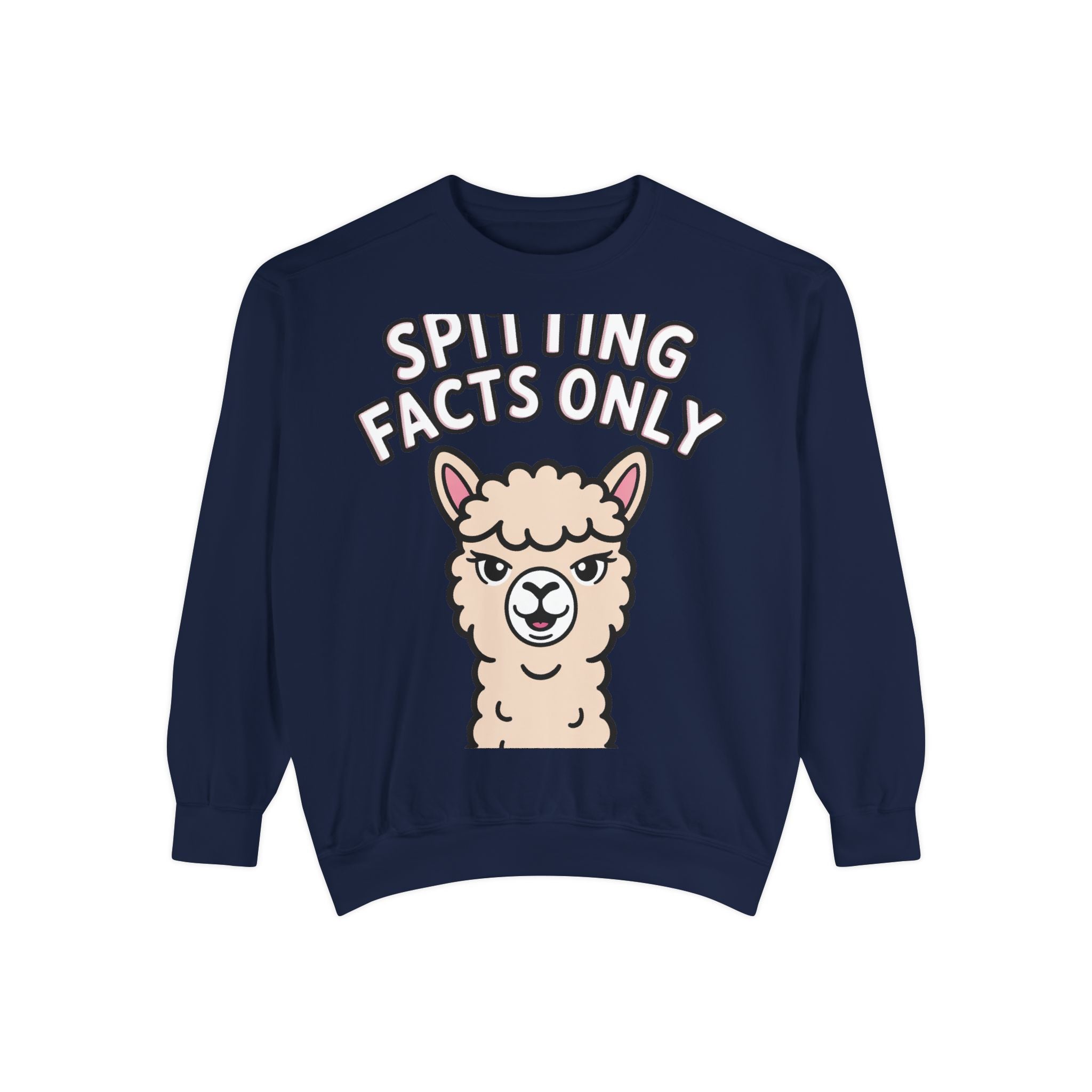 Alpaca Spitting Facts Sweatshirt, Funny Sassy Alpaca Crewneck, Cute Embroidered-Style Animal Sweatshirt, Alpaca Lover Gift